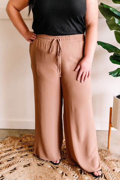 Pleated Wide Leg Pants In Cappuccino